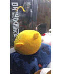 인형뽑기달인.gif