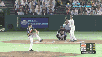 그들의 우정.gif