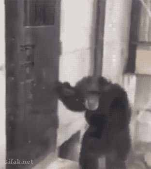 아~급해 ~~~진짜 급하다고!!!!!.gif