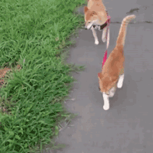 누가 甲일까?.gif