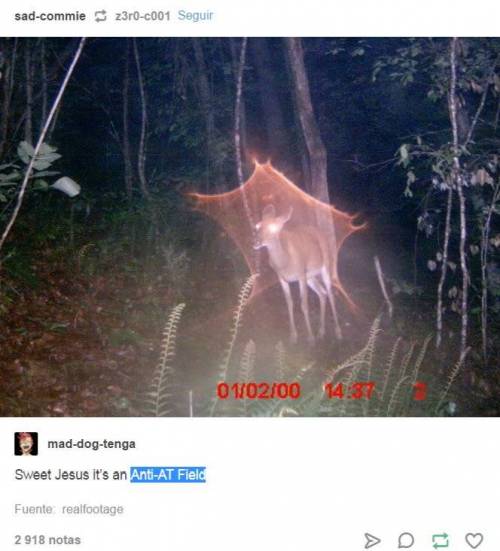 최강의 노루.jpg
