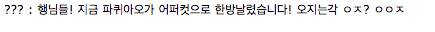 파퀴아오 중계권을 놓친 아프리카의 선택