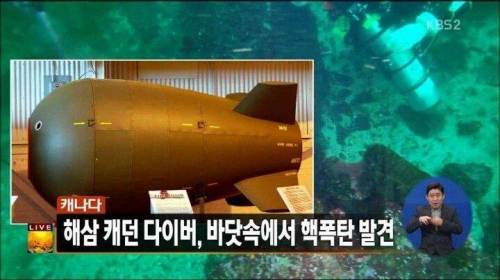 캐나다 하루아침에 군사강국으로 등극