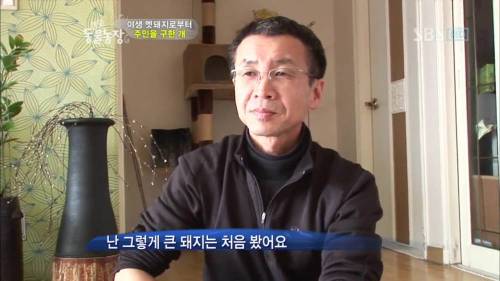 주인을 위해 목숨을 던진 충견
