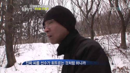 주인을 위해 목숨을 던진 충견