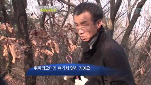 주인을 위해 목숨을 던진 충견