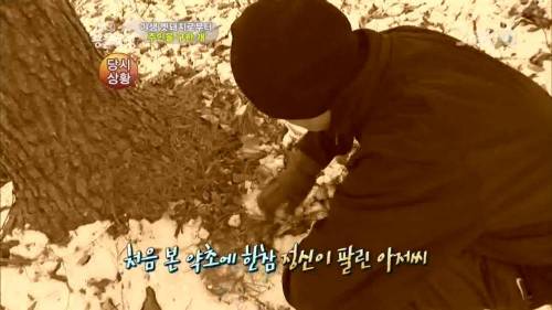 주인을 위해 목숨을 던진 충견