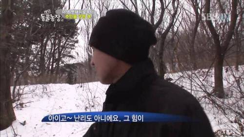 주인을 위해 목숨을 던진 충견