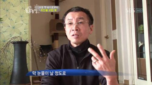 주인을 위해 목숨을 던진 충견