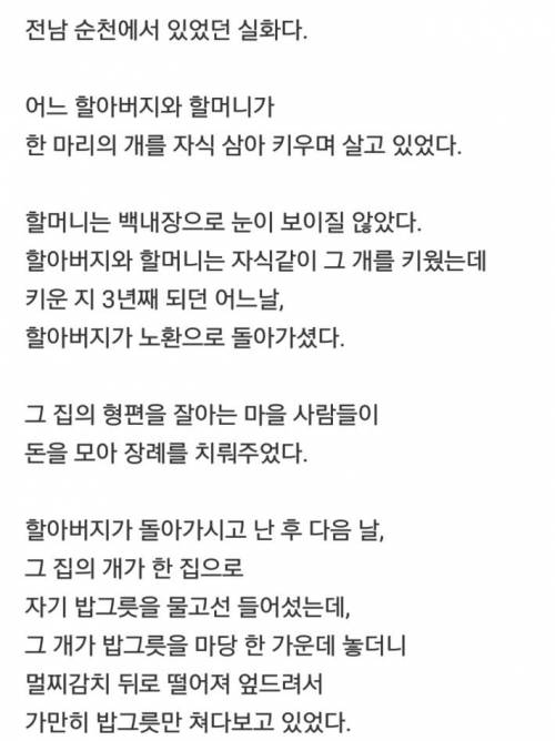 은혜를 갚는 다는 것