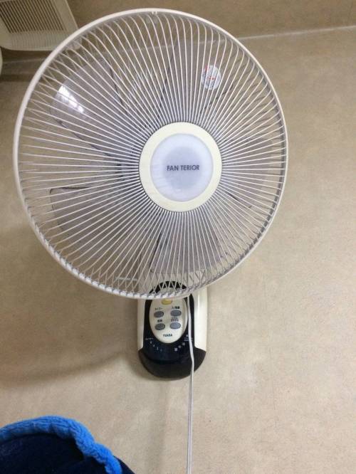 뜻밖의 가오나시.jpg