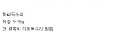세상에서 가장 강한 조류.jpg