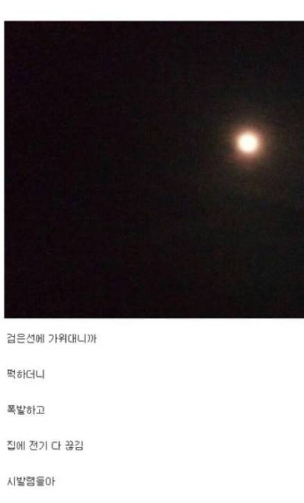고갤러의 폭탄해체.jpg