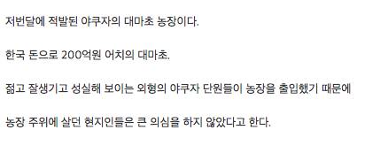 일본 야쿠자가 성실하게 키운 농장