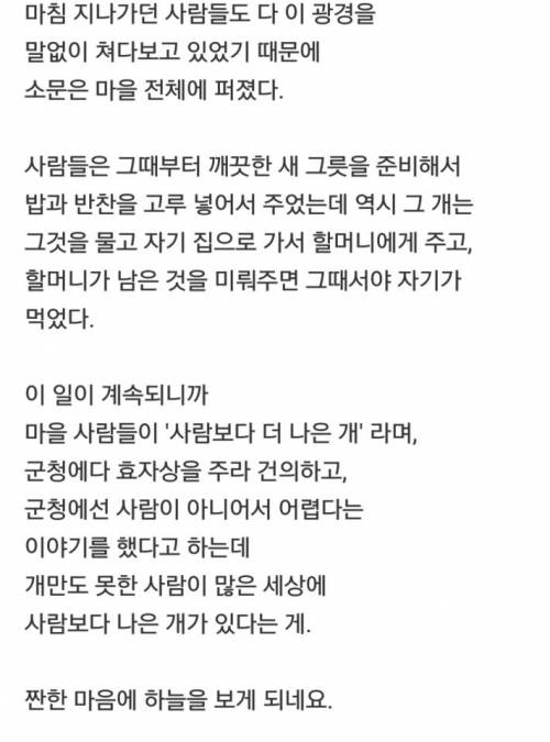 은혜를 갚는 다는 것