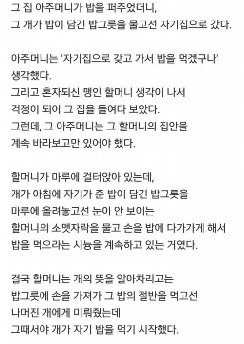 은혜를 갚는 다는 것