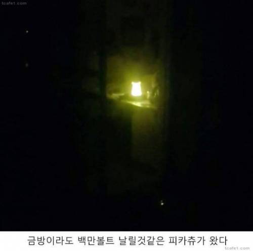 난 분명 이걸 시켰는데...