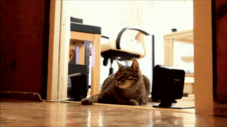 지대공 킬러.gif