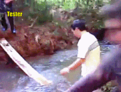 개발자 테스터 클라이언트.gif