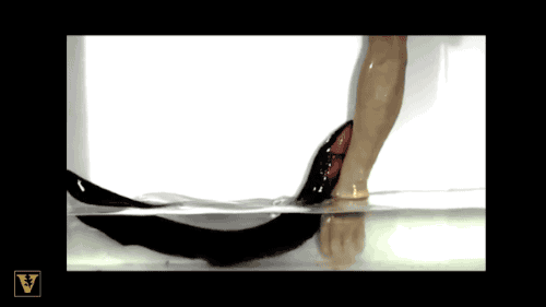 전기뱀장어의 공격법.gif
