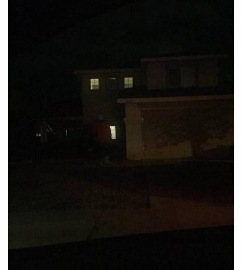 진정한 친구.jpg
