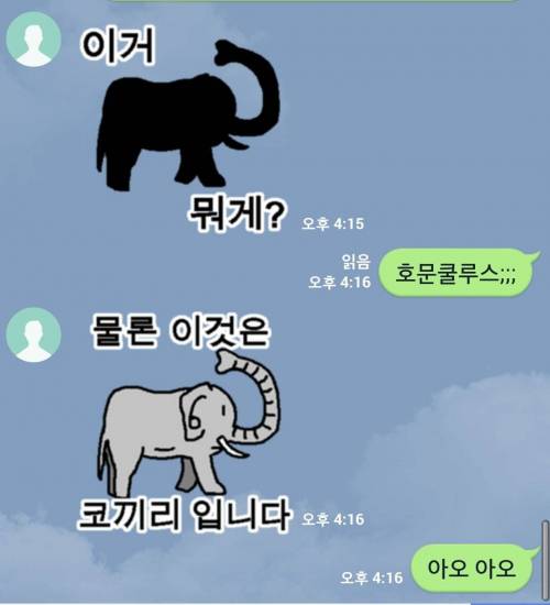 혼란하다 혼란해!.jpg