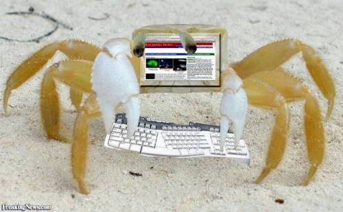 컴퓨터 게임.jpg