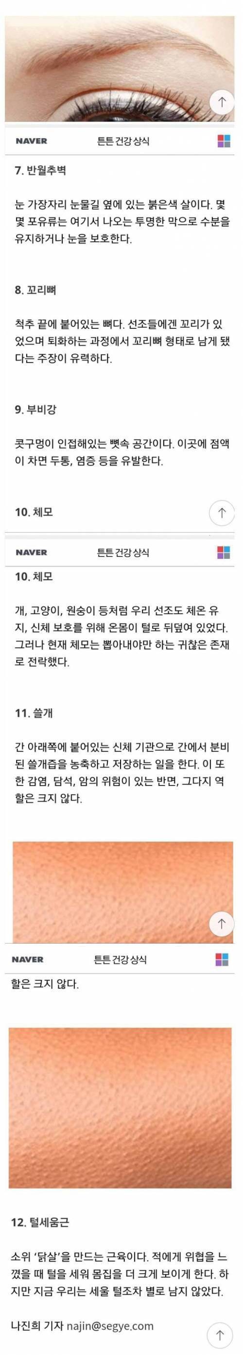 우리 몸에서 필요없는 12가지의 부위