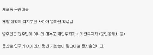강남의 마지막 판자촌