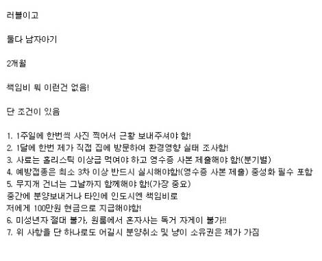 논란의 고양이 무료분양글.......