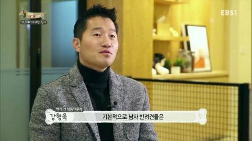 O만도 못한 강간범.jpg