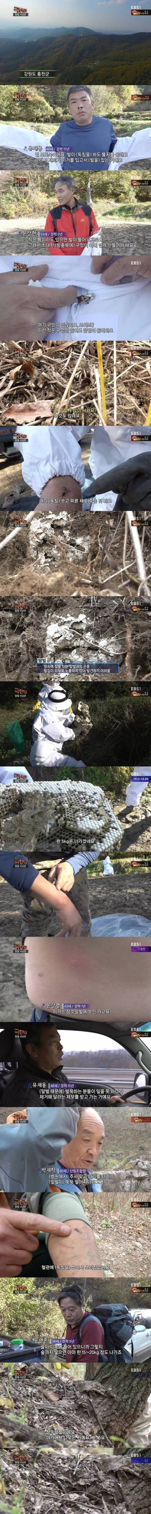극한직업 말벌 사냥꾼.jpg