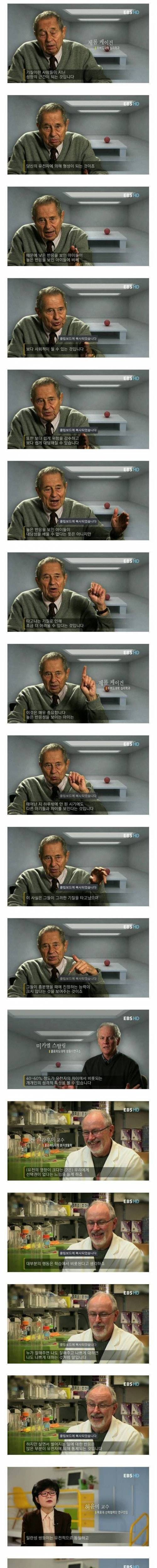 유전이 결정하는 사람의 성격.jpg