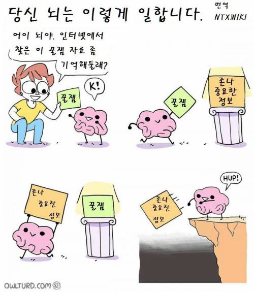 당신의 뇌는 이렇게 일합니다