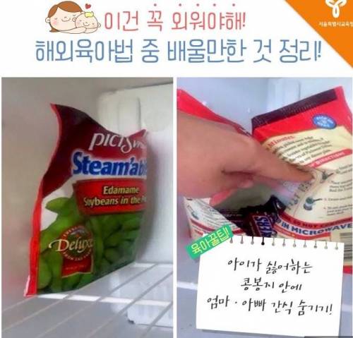 [북마크용]해외육아법꿀팁.jpg