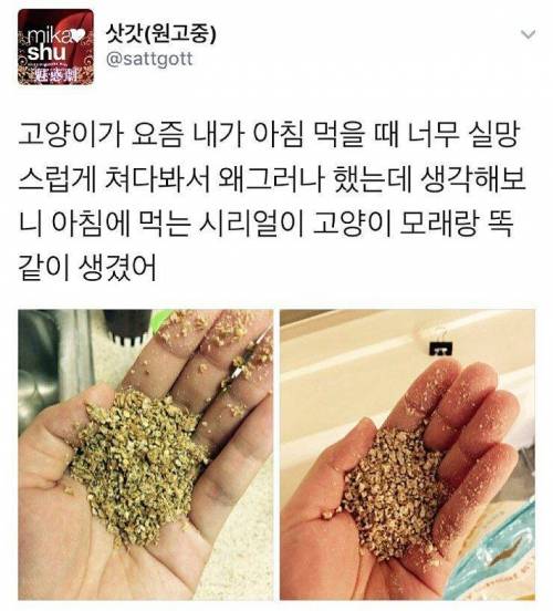 흙먹는 집사.jpg