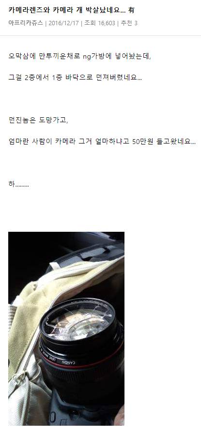 수능 망쳤다고 남의 카메라 2층에서 던진 고딩