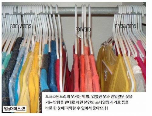 [북마크용]일상생활 꿀팁 모음