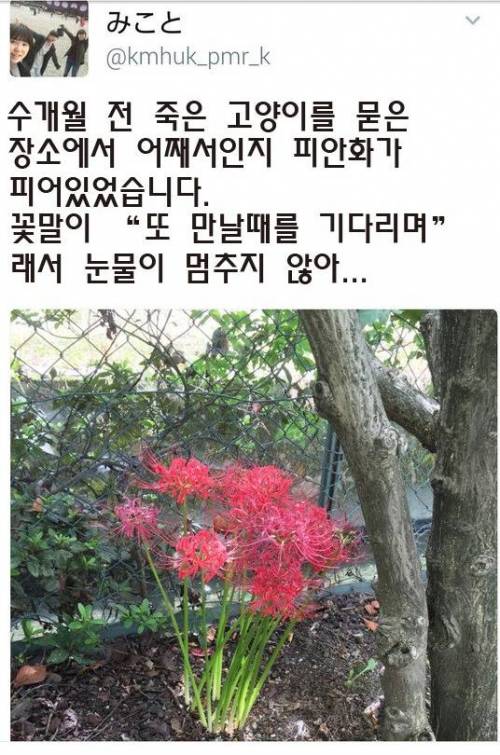 감동파괴자.jpg