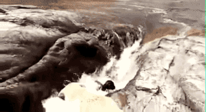 멍뭉이 구조.gif