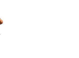 미국의 장거한.gif