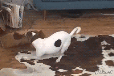 무허가 건물 강제 철거 현장.gif