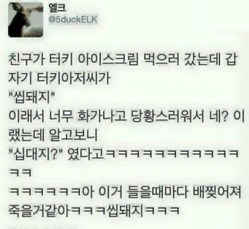 터키인에게 욕 먹은 썰.jpg