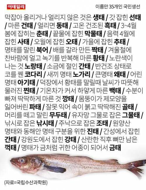 이름만 35개인 국민생선 ..