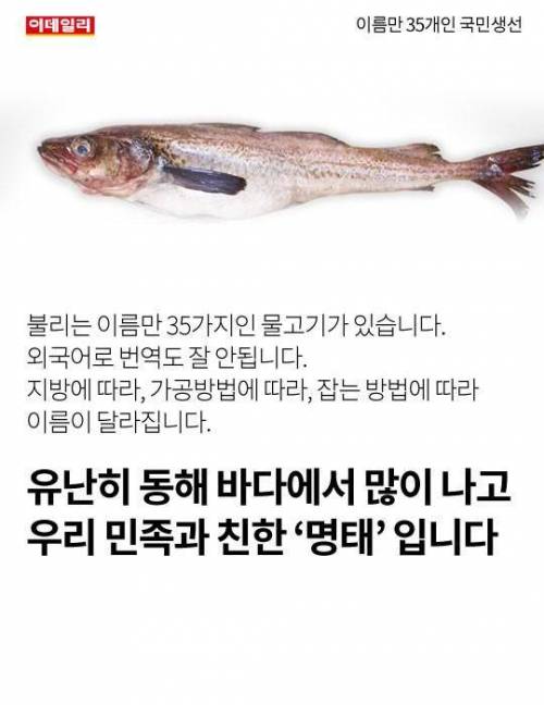 이름만 35개인 국민생선 ..