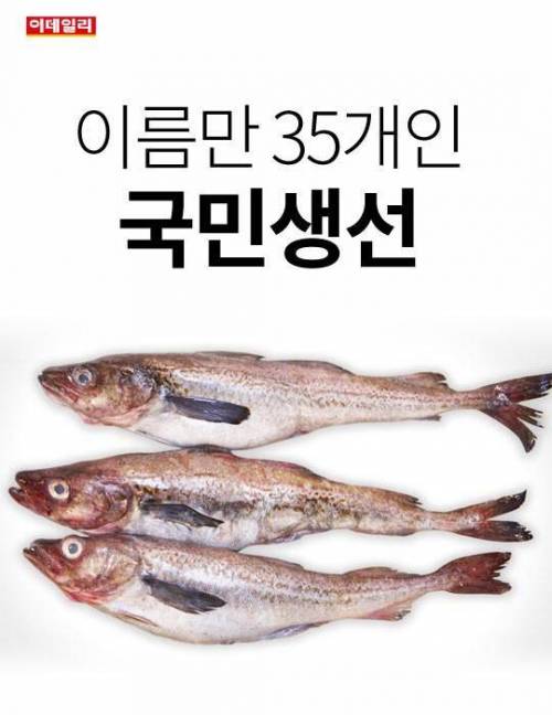 이름만 35개인 국민생선 ..