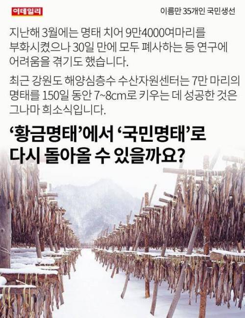 이름만 35개인 국민생선 ..