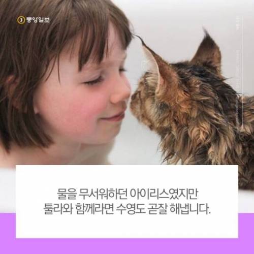 자폐를 재능으로 바꾼 천재 소녀 ..