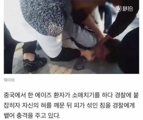 대륙의 소매치기.jpg