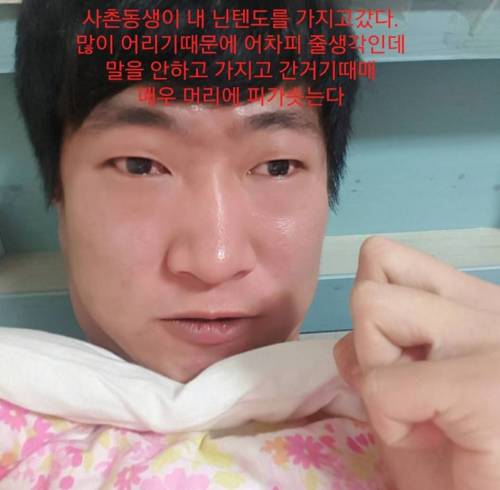 조카한테 닌텐도 게임기 뺏긴 남자.jpg